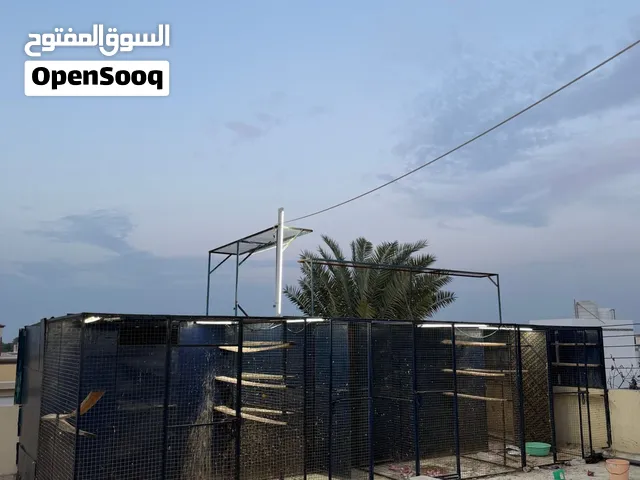 للبيع شت 4 غرف مع 4 صالات
