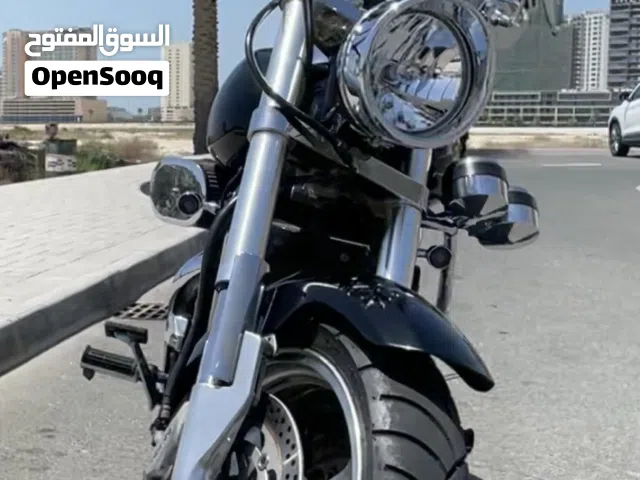 Kawasaki Vulcan V-Twin 1600cc كاواساكي ڤولكن 1600 س س