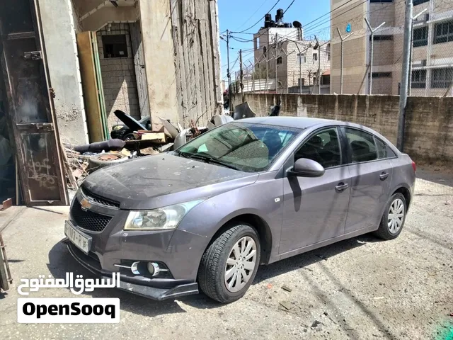 شفرليت كروز