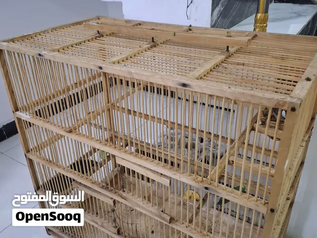 قفص للبيع كبير تفصال قوي للبيع عنواني بصره جزيره ويوجد عندي بلابل للبيع