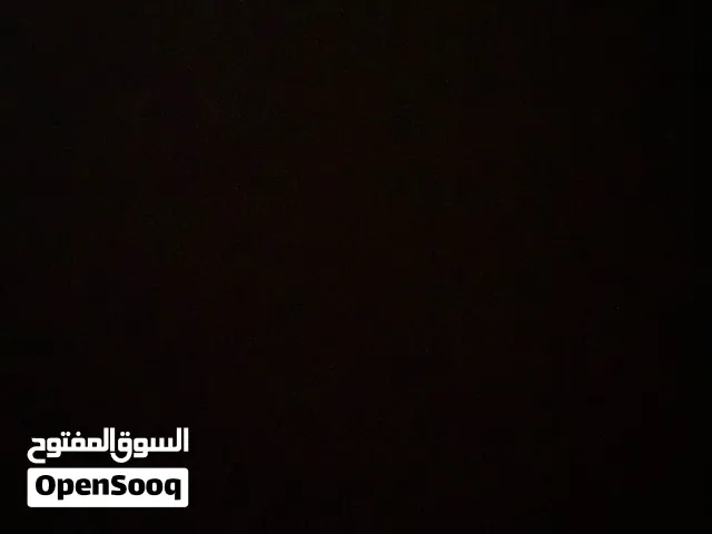 مطلوب كلاب بتبول بصحه ممتازه