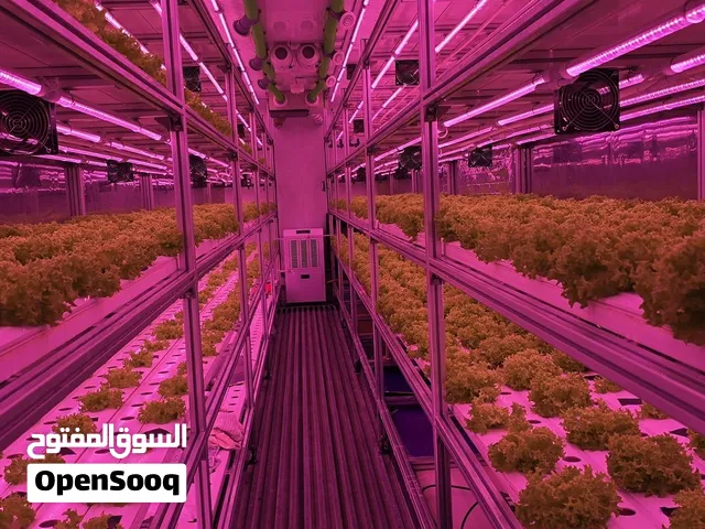 50/50 Partner Wanted – Ready Hydroponic Container Farm (microgreens or barley fodder)