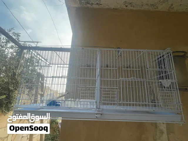 قفص 76 للبيع