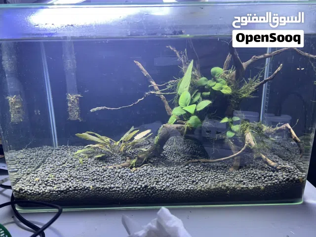حوض سمك للبيع جاهز مع كل ملحقاته