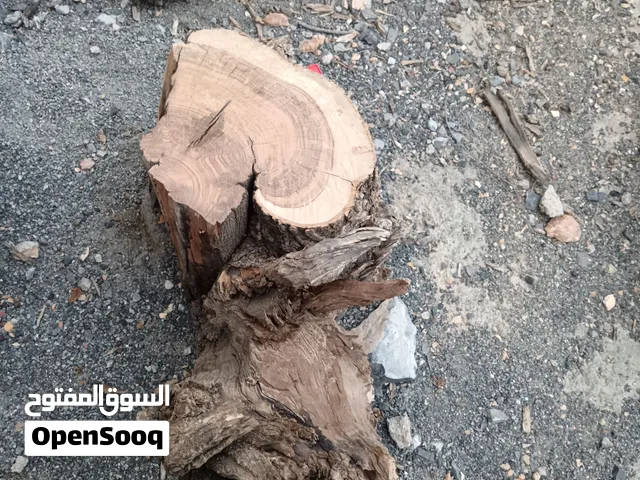 اخشاب عتم للبيع الطول متر و20