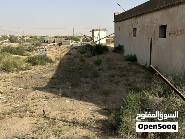 Farm Land for Rent in Abu Dhabi Other