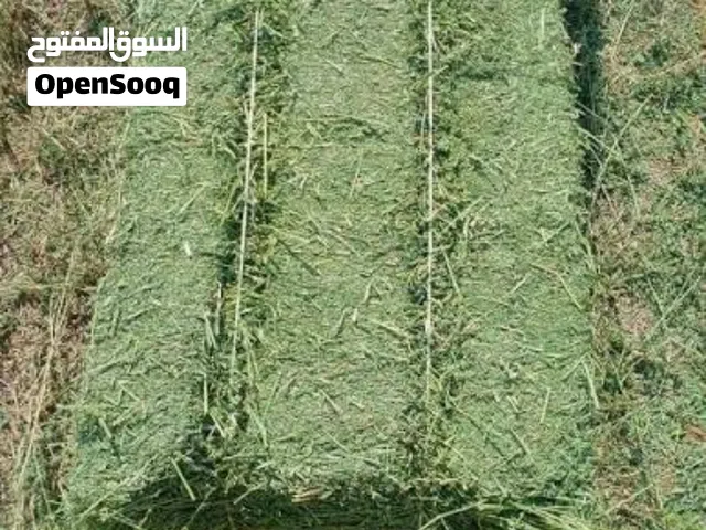 مطلوب شريك ممول لمشروع اعلاف حيواني برسيم حجازي رقم التواصل