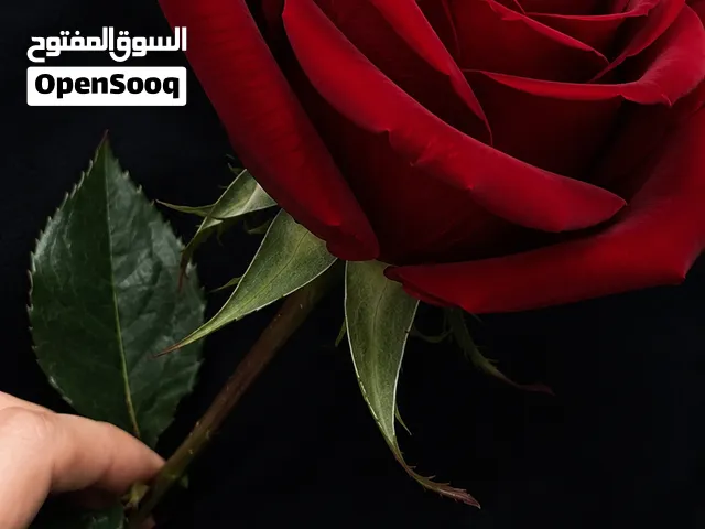 اعلان وظيفه بناء اساسي