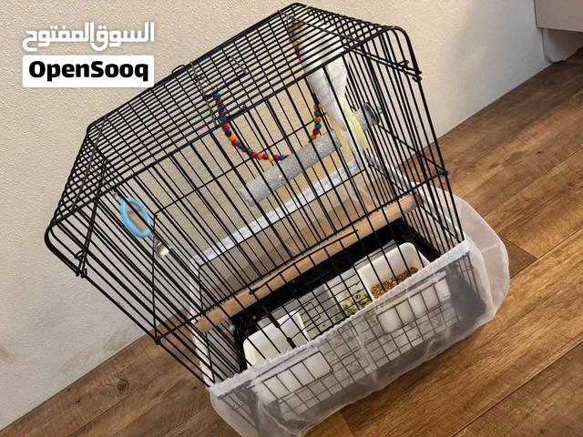 تلبيسة قفص طيور للحبوب والريش