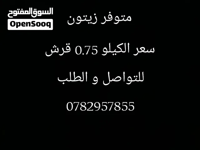زيتون اخضر للبيع