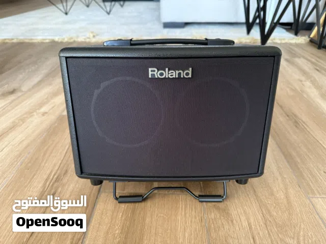 Roland Acoustic guitar amp AC33