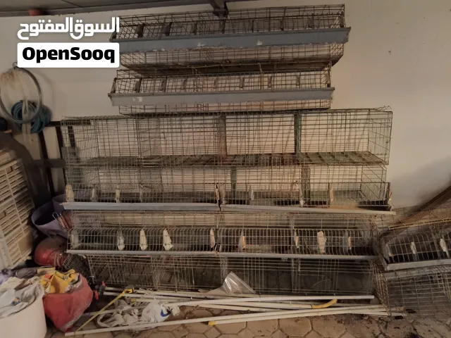 أقفاص ( بطاريات ) لي تربيه أرانب المنتجه و أرانب التسمين