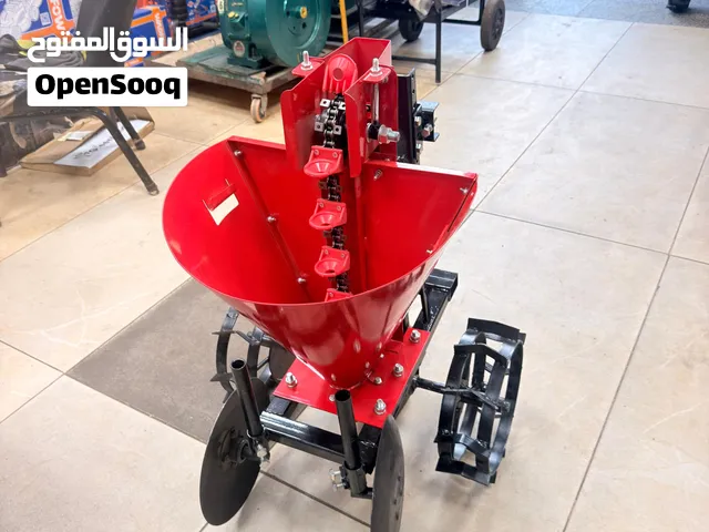 ستاره بطاطس