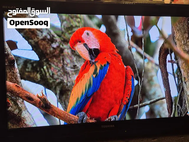 TOSHIBA tv not smart and without remote 30 inch