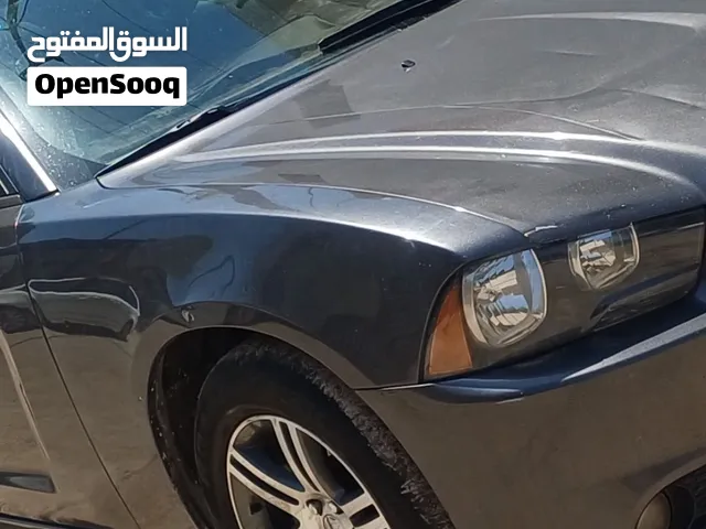 ويل كب جارجر خليجي مديل 13 مراوس حسب القناعه