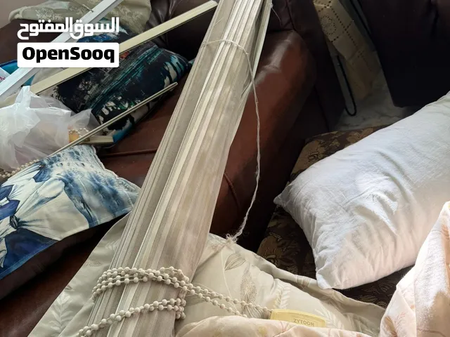 برادي زيبرا