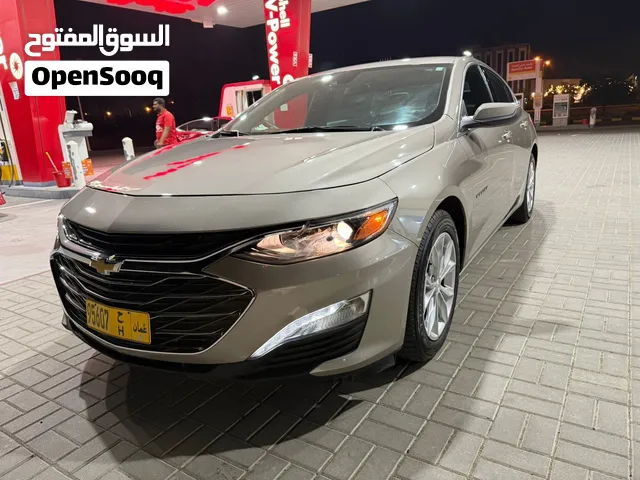 شوفر ماليبو LT 2025