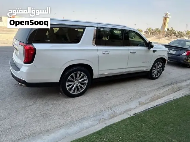 دينالي 2021