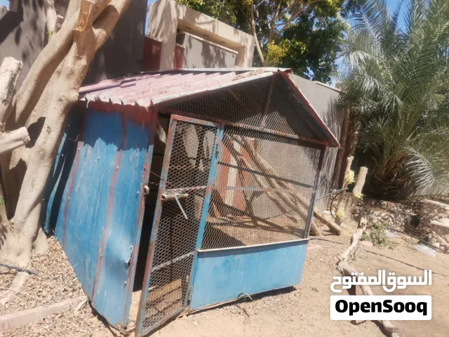 براكة 2 م x 2 م حديد