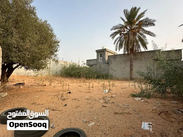 ارض بمساحة 472