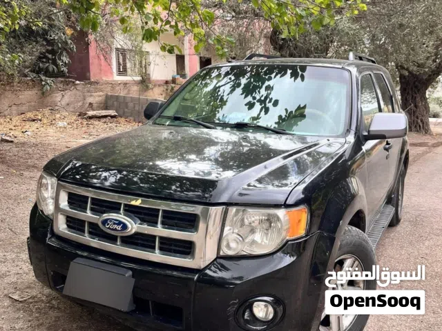 Used Ford Escape in Ajloun