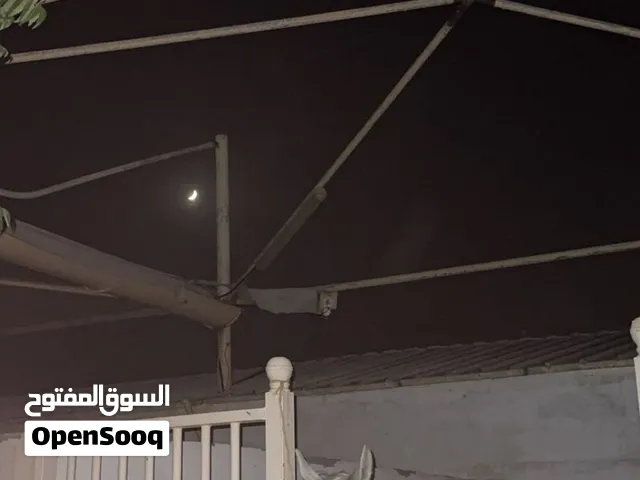 حصان عربي مخصي ينفع للعرضات و المدرسه عمره 17