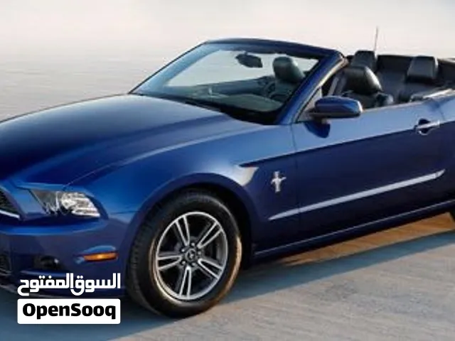 مطلوب موستانج 2013__2014 كشف