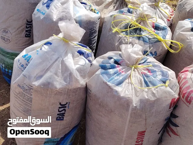 سماد بقر اللبيع جديد الحين قاصينه نعيم وجميل شي نظيف