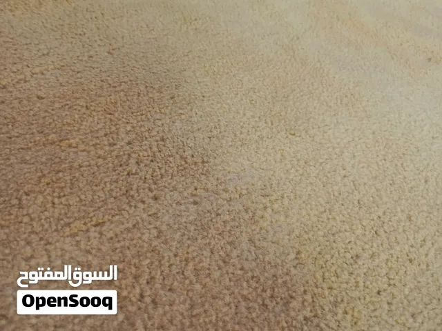 موكيت صيدا