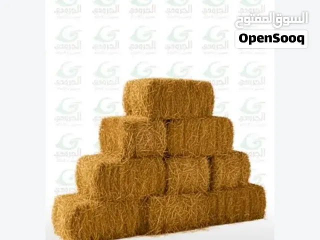 500ريال الطرن