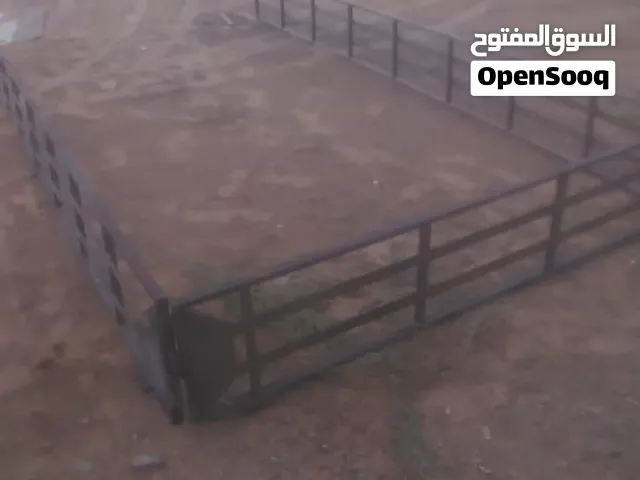 اصبونضاط كانترللبيع