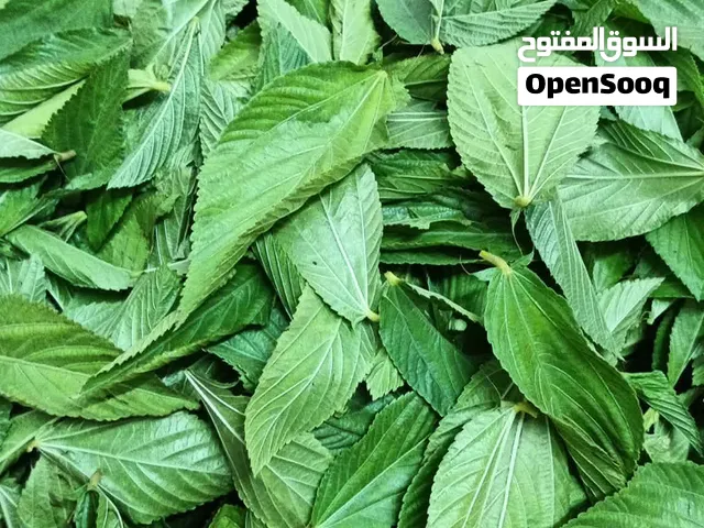 ملوخية خضرا مفروطة في اربد