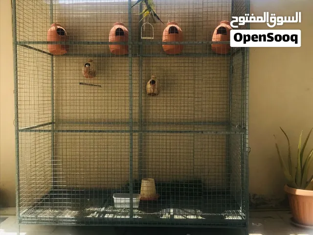 قفص الطيور