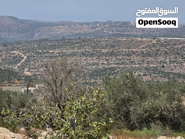 اطلاله غربيه بالقرب من جميع الخدمات