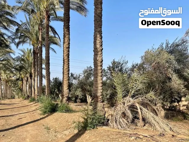 ارض زراعيه ناصيه مقننه داخل كمبوند المصريه