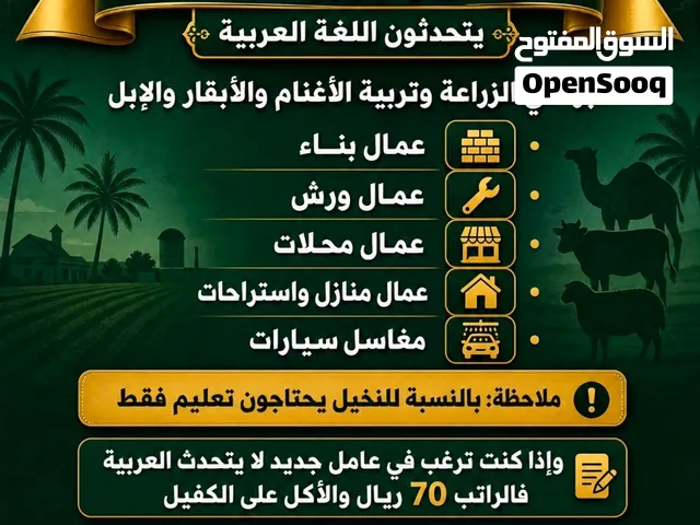 استقدام عمال محالات وعمال مقاولات وعمال  مزارع وعمال عزب  وعمال صناعيين وحرفيين .