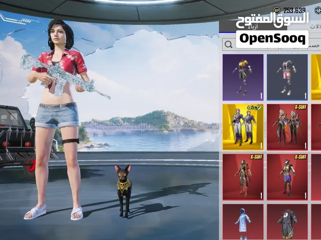 Pubg Accounts and Characters for Sale in Um Al Quwain