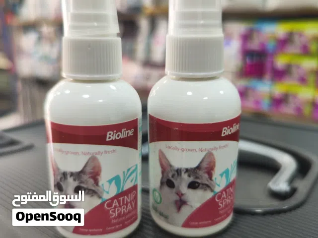 كات نب سبري