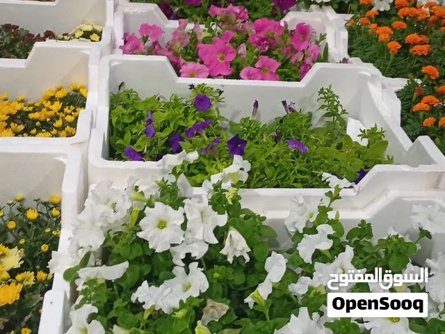لتنسيق الاحديق