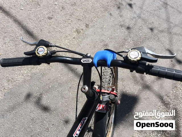 بسكليت قياس 24