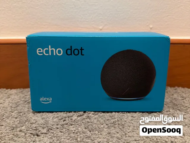 Alexa Echo Dot