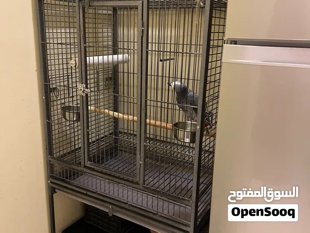 قفص كبير نظيف