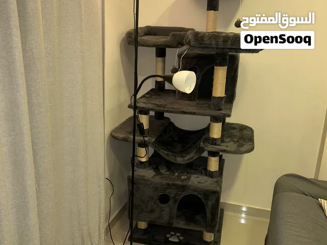 مجموعه قطط وكلاب بحال الوكاله للبيع