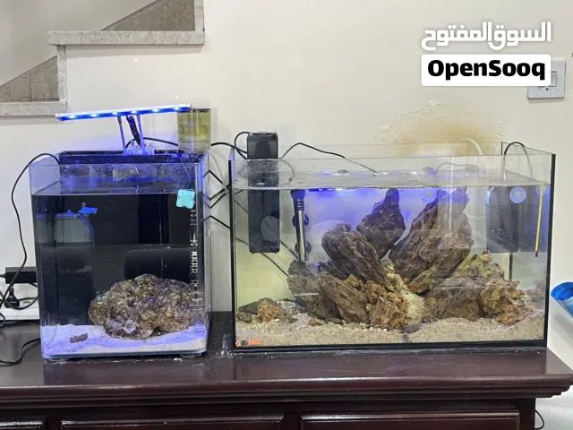 Saltwater aquarium