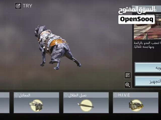 حساب Call of Duty Mobile للبيع الحساب اعتقد من 2019 يعني قديم و فية اشياء نادرة