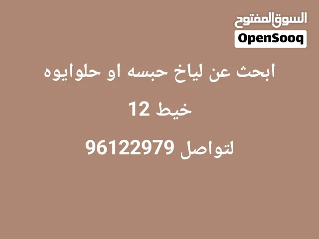ابحث عن لياخ حبسه او حلوايوه