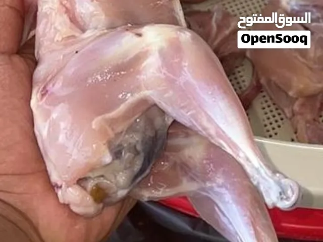 دجاج عماني العمر شهرين ونص