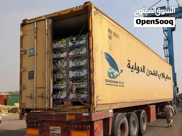 نقل داخلي بظائع وعفش في المحافظات  واخرى داخلي وخارجي دولي بري  باسعار منافسه