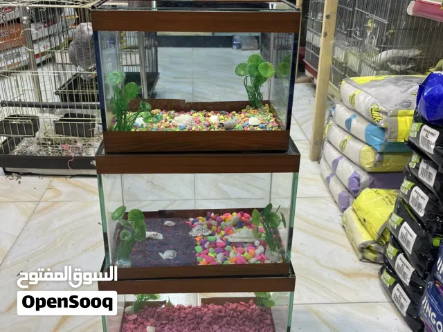 أحواض سمك مميز عروض خيالية عرض بلا فرايدي جودة عالمية تابع الوصف
