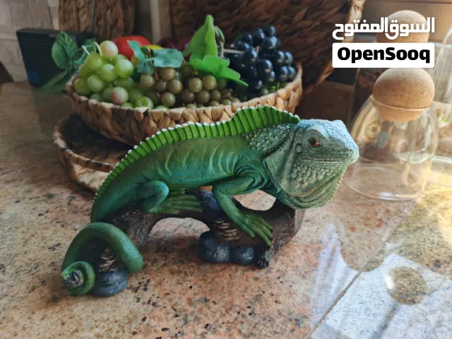 تحفيات منوعة للزينة والديكور المنزلي